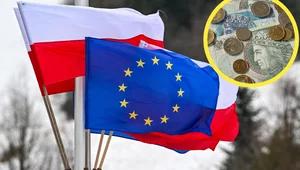 Miniatura: Eksperci przeprowadzili 10 tys. symulacji....