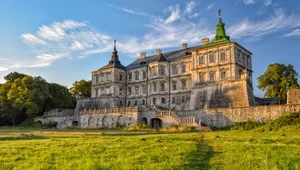 Miniatura: Biniszewska: Grabież zawsze pozostanie...