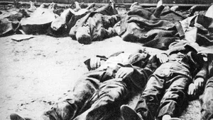 Miniatura: Mordowali całe kamienice ludzi. W kilka...