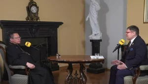 Miniatura: Obłudne uniki