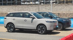 Miniatura: Chiny inwestują nad Wisłą