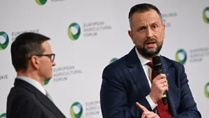 Miniatura: "Rozbój, nie rozwój". Kosiniak-Kamysz...