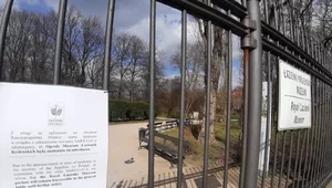 Miniatura: Czy Polacy dopuszczają drugi lockdown?...