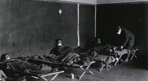 Miniatura: Epidemia zabiła 200 tys. Polaków. Dlaczego...