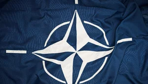 Miniatura: Polski europoseł ostrzega: To koniec NATO....