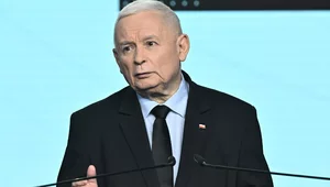 Miniatura: Ruletka znowu się kręci