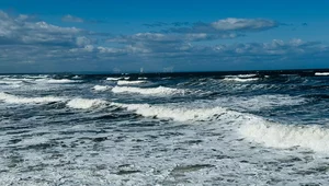 Miniatura: Zerwania kabli na Bałtyku. Wywiad...