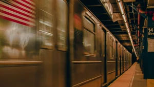 Miniatura: Nielegalny imigrant oskarżony o spalenie...