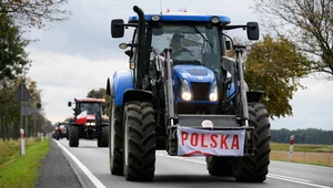 Miniatura: Ekspert: Kierunek właściwy, ale czy...