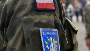 Miniatura: Wielki sukces Polaka. Gen. Gromadziński...