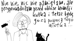 Miniatura: Kotka młotkiem przed obliczem Komisji d/s...