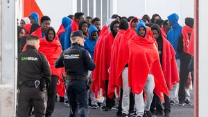 Miniatura: Niemcy straciły pozycję lidera. Migranci...