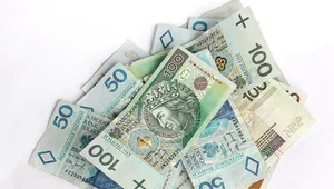 Miniatura: Szkodliwy sukces fiskusa