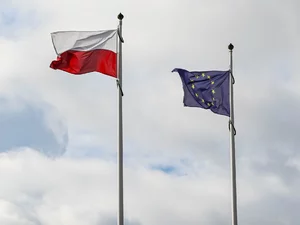 Miniatura: Suwerennościowy lewar