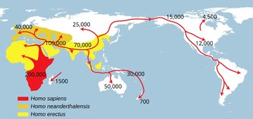 Migracja Homo sapiens, Homo erectus i&nbsp;neandertalczyk&oacute;w