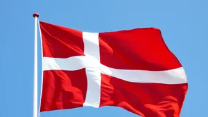 Miniatura: Dania: Migracja net zero