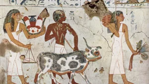 Miniatura: Feminizm w starożytnym Egipcie? "Chyba...