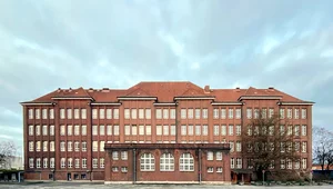 Miniatura: Brunatne diabły w kitlach