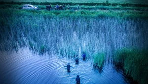 Miniatura: Pościg za nielegalnymi imigrantami....