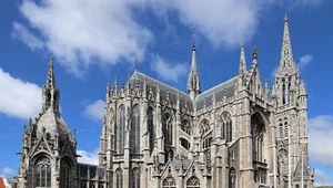 Miniatura: Szkielet pod podłogą w holenderskim...