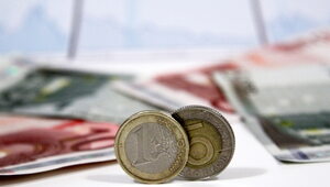 Miniatura: Tenerowicz: Na euro zyskują tylko Niemcy