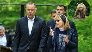 Miniatura: "Poznajcie Batyra". Współpracownik...