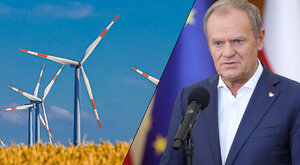 Miniatura: Niezłomny apostoł wiatraków