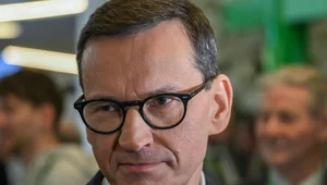 Miniatura: "Piątka Tuska". Morawiecki odpowiada:...