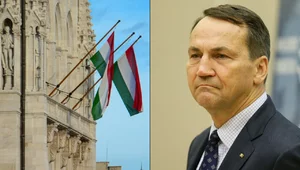 Miniatura: "Hungarofob". Szef MSZ Węgier uderza w...