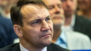 Miniatura: "Psychoprawicy trzeba tłumaczyć". Sikorski...