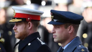 Miniatura: Tragiczna śmierć w rodzinie Williama i...