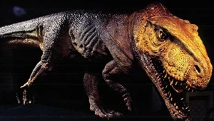 Miniatura: Kręgowce wyszły na ląd "w Polsce”