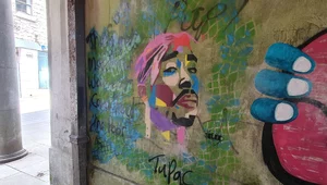 Miniatura: Od ulic Nowego Jorku do sceny globalnej –...