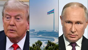 Miniatura: Między arbitrażem a utratą wpływów