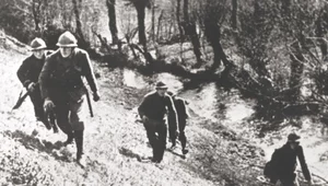 Miniatura: Polski żołnierz pod niemiecką lupą
