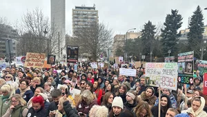 Miniatura: Manifestacja obrońców zwierząt. Nie...