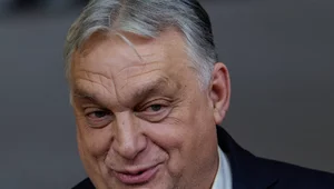 Miniatura: Niemiecki dziennik wieszczy koniec Orbana....