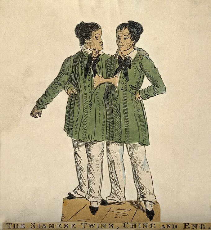Chang i Eng na XIX-wiecznym rysunku.