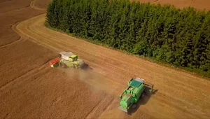 Miniatura: "Prawo i Sprawiedliwość było przeciwko...