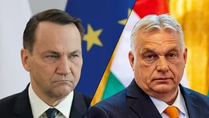 Miniatura: "To dość szokujące". Sikorski reaguje na...