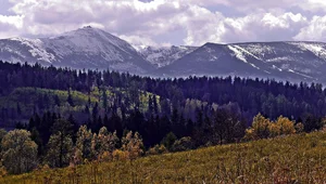 Miniatura: Charakterystyczny punkt w panoramie...