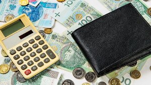 Miniatura: Klienci pozywają banki. Chodzi o kredyty