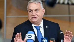 Miniatura: Pojmanie Maduro. Orban ogłasza "upadek"...