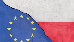 Miniatura: Sondaż. Ilu Polaków chce polexitu?