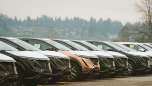 Miniatura: Stagnacja na rynku aut elektrycznych? "Bez...