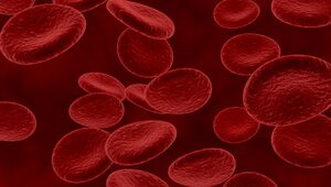 Miniatura: 12 zasad leczenia hemofilii. Czy polscy...
