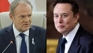 Miniatura: Musk zażartował z Tuska. Napisał o...