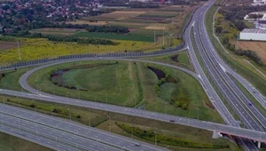 Miniatura: Gdańsk, Stalowa Wola czy Przasnysz? Zobacz...