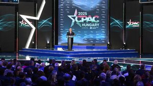 Miniatura: Pragmatyzm nad Dunajem