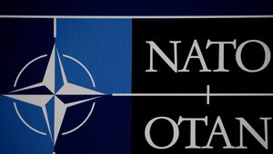 Polska, Węgry i Turcja wyrzucone z NATO? "Absurdalna propozycja"